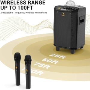 Parlante Bluetooth 12 Pulgadas T-GO RIO + 2 Micrófonos Inalámbricos Fiesta  Karaoke