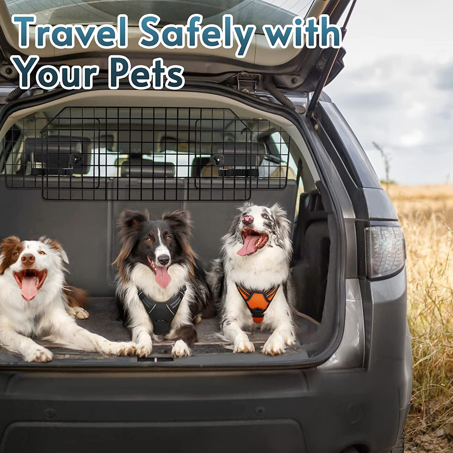  ARCOCO Barrera de red para perro con cinturón de seguridad para  mascotas, barrera de malla resistente fácil de instalar, divisor de coche  para conducción segura con mascotas, cinturón de ajuste fijo